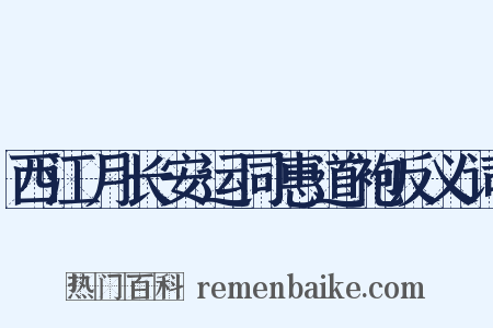 西江月长安运同惠道袍反义词是什么意思的图片